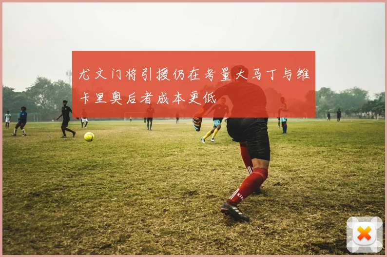 尤文门将引援仍在考量大马丁与维卡里奥后者成本更低